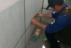 商洛市政府布防灭鼠毒饵站